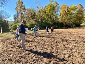 people working in field